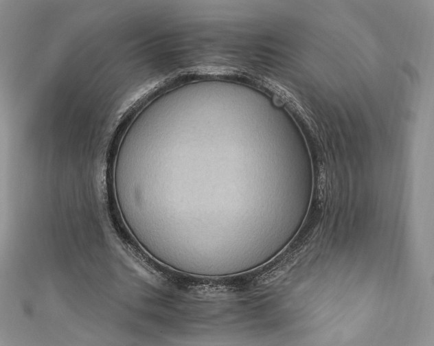 X0000110890535200907021519