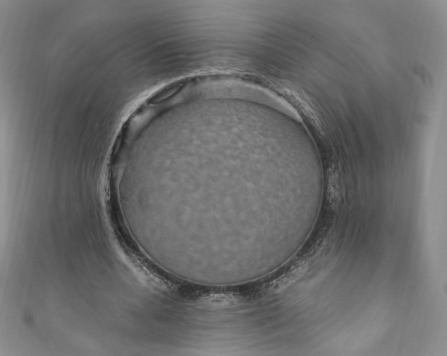 X0000110890536200907021519