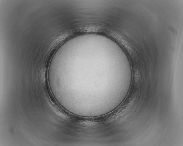 X0000110890537200907021519