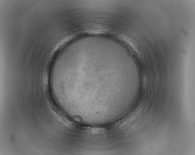 X0000110890539200907021519