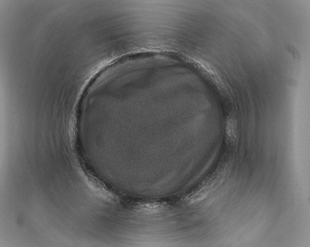 X0000110890540200907021519