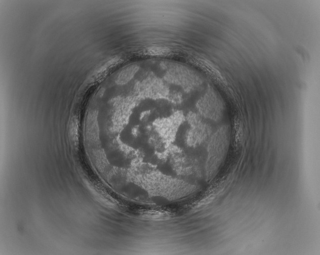 X0000110890542200907021519