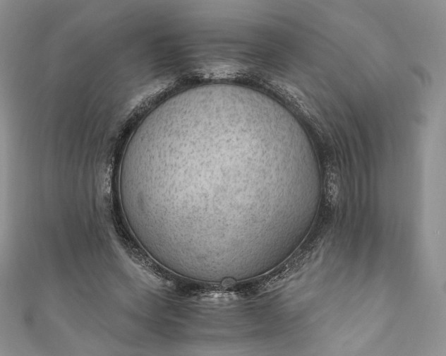 X0000110890543200907021519