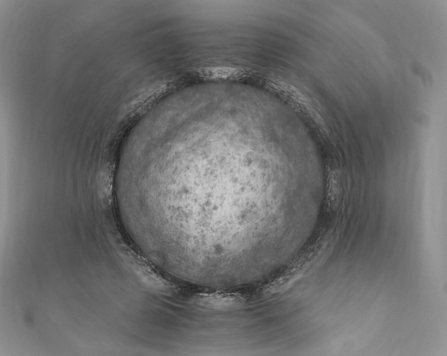 X0000110890545200907021519