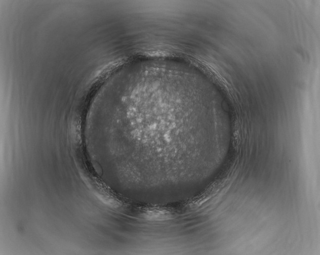 X0000110890547200907021519