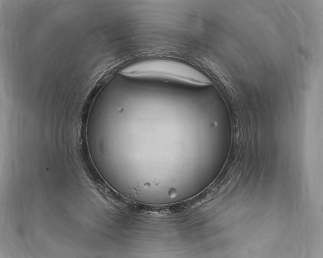 X0000110890548200907021519