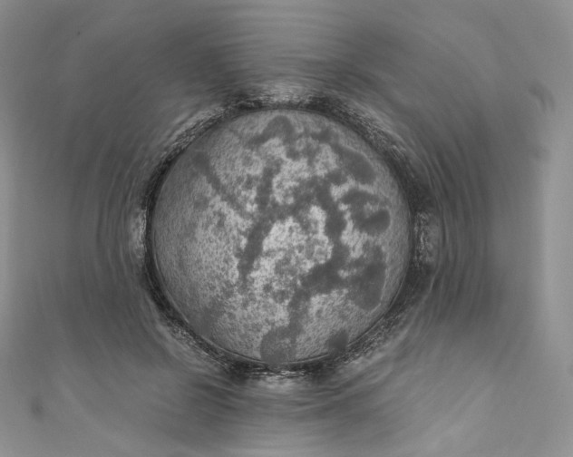 X0000110890550200907021519