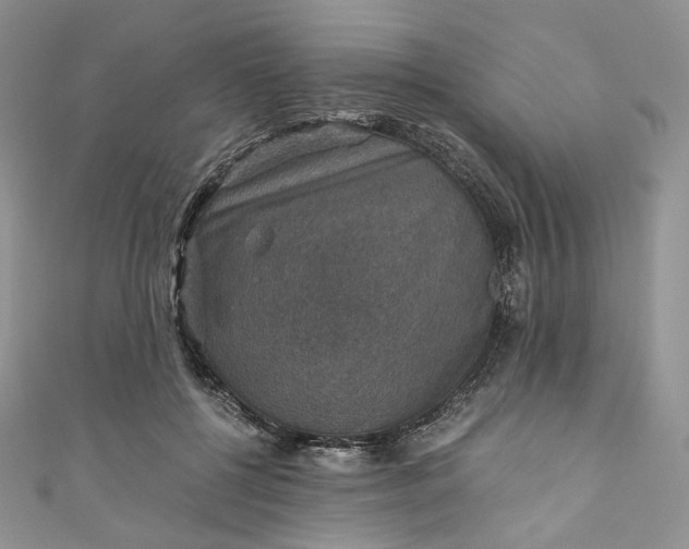 X0000110890552200907021519