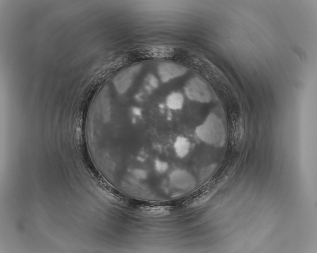 X0000110890553200907021519