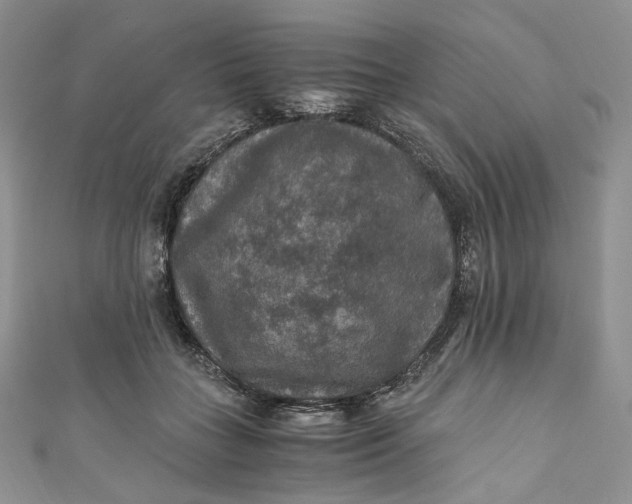 X0000110890555200907021519