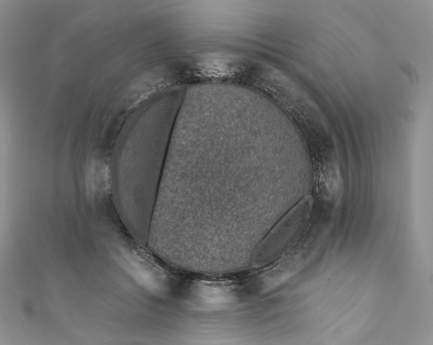 X0000110890556200907021519