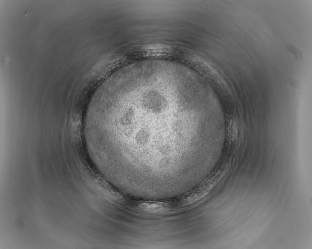 X0000110890557200907021519