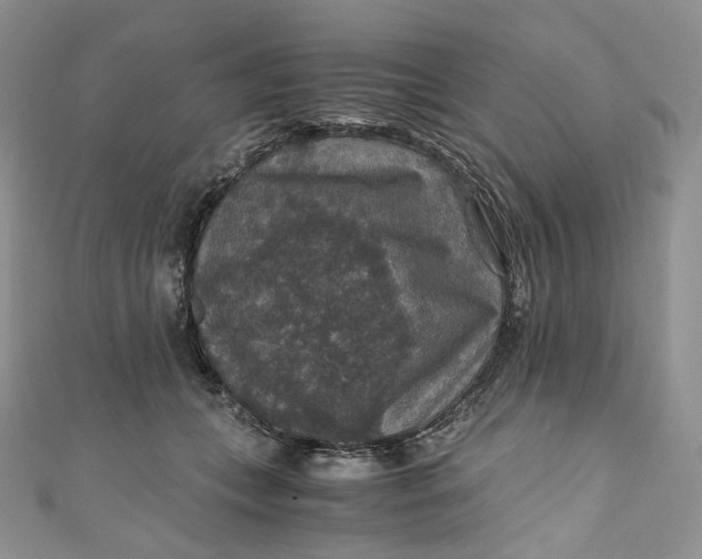 X0000110890559200907021519