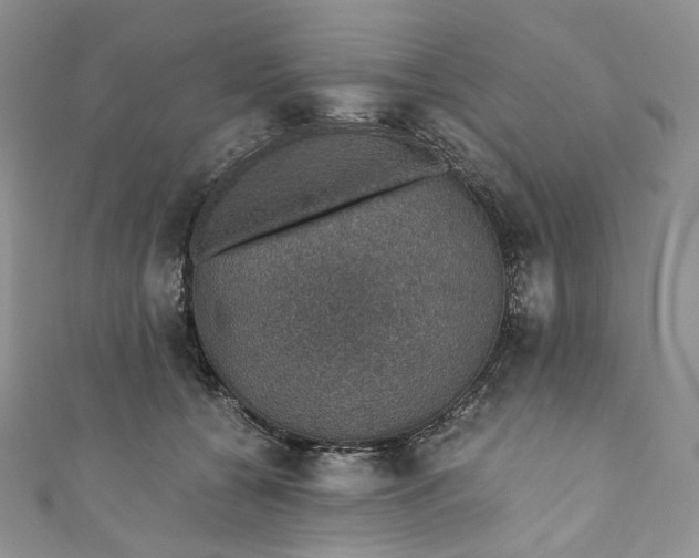 X0000110890560200907021519