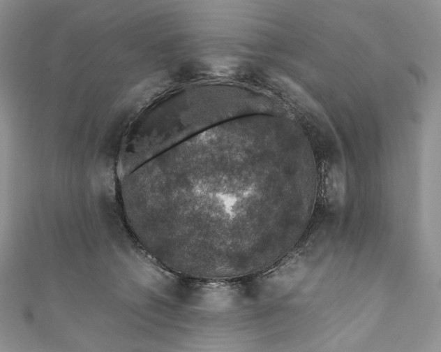 X0000110890562200907021519