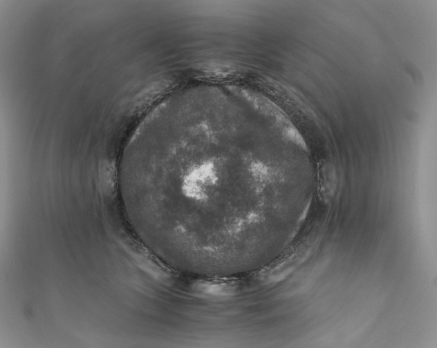 X0000110890563200907021519