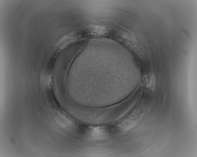 X0000110890564200907021519