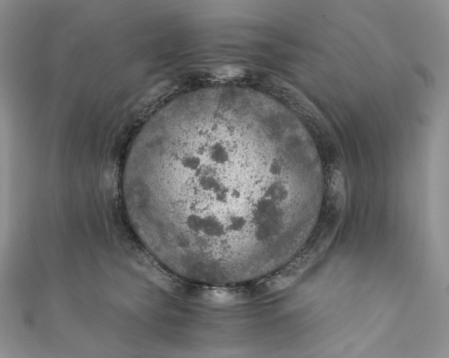 X0000110890565200907021519