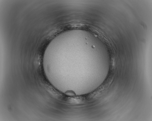 X0000110890567200907021520