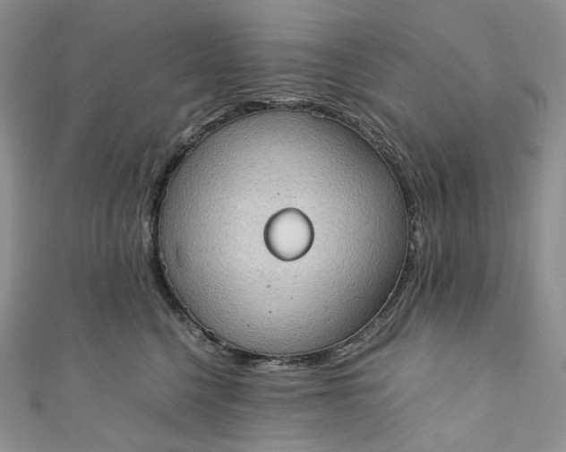 X0000110890568200907021520