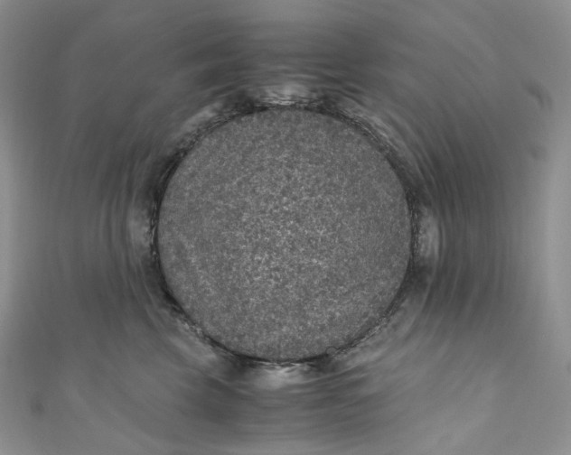 X0000110890569200907021520