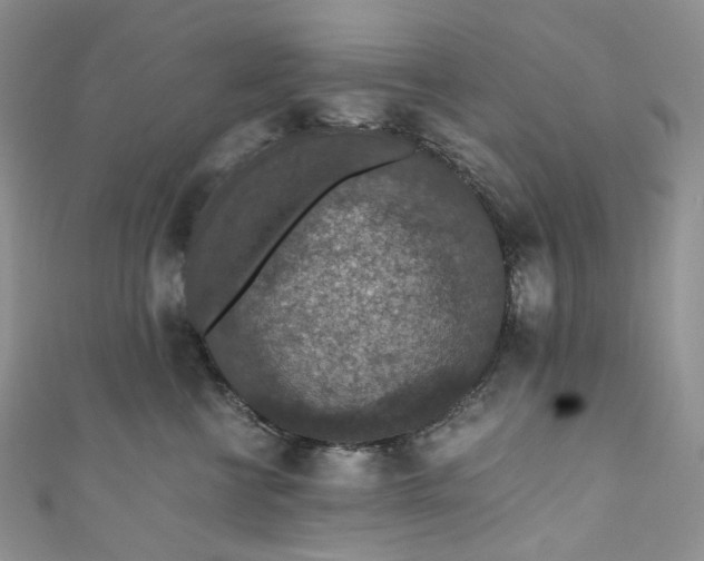 X0000110890570200907021520