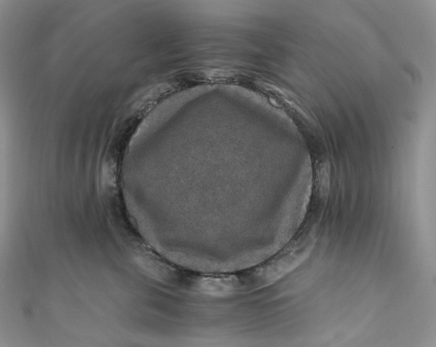 X0000110890571200907021520