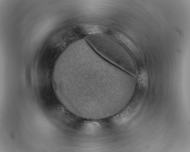 X0000110890572200907021520