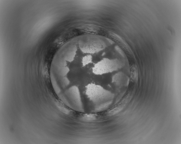 X0000110890573200907021520