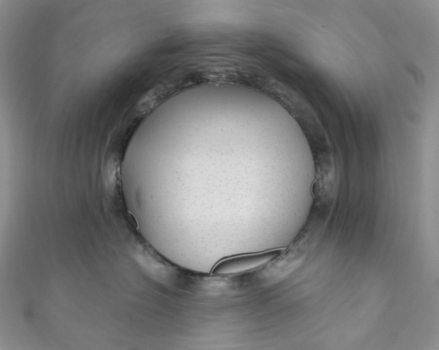 X0000110890574200907021520