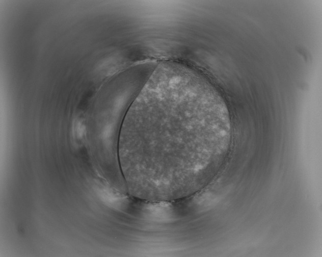 X0000110890576200907021520