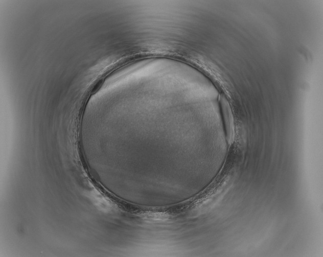 X0000110890577200907021519