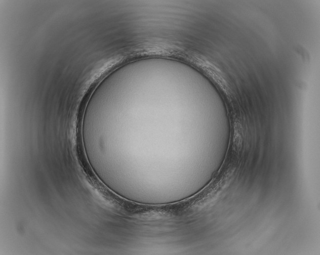 X0000110890578200907021519