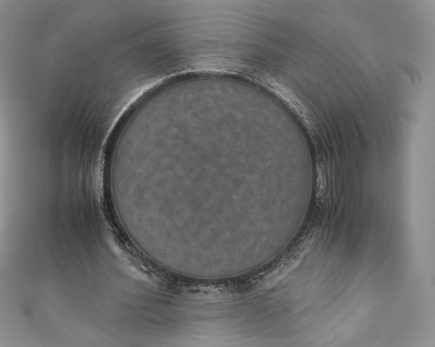 X0000110890580200907021519