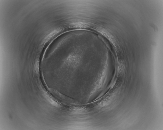 X0000110890581200907021519