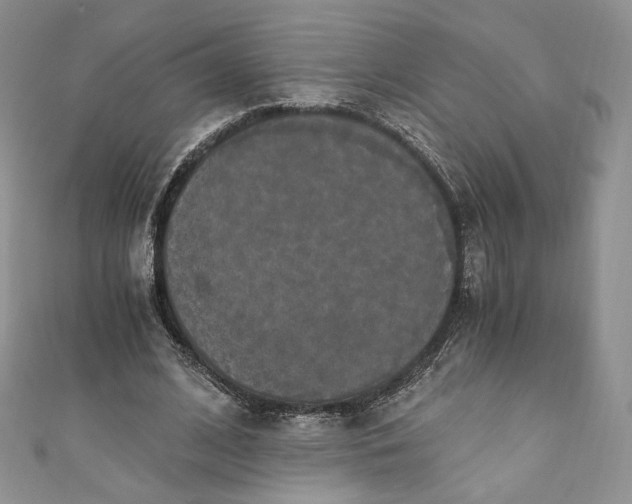 X0000110890584200907021519