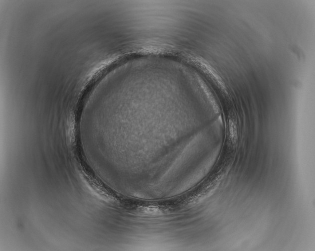 X0000110890588200907021519