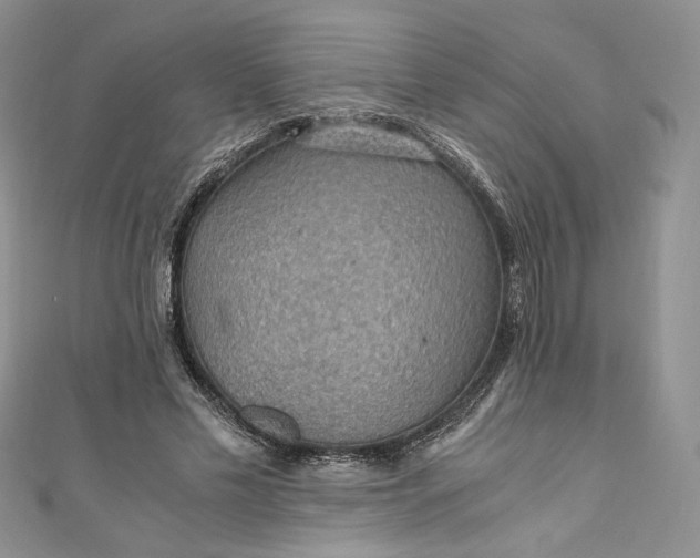 X0000110890589200907021519