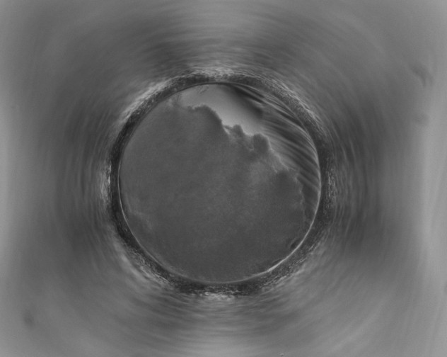 X0000110890592200907021519