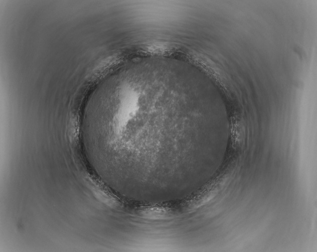 X0000110890593200907021519