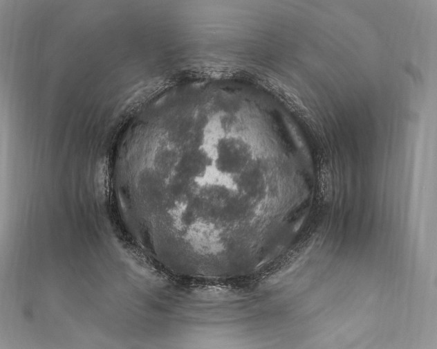 X0000110890594200907021519