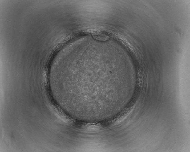 X0000110890597200907021519