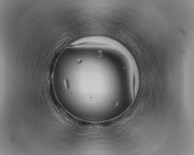 X0000110890599200907021519