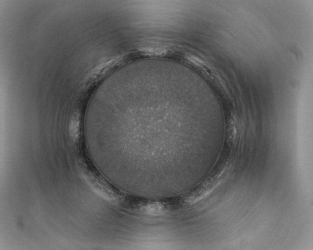 X0000110890600200907021519