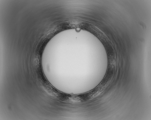 X0000110890603200907021519