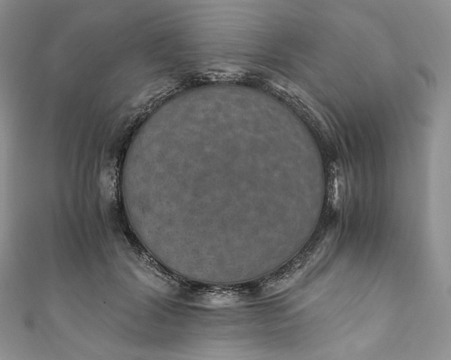 X0000110890604200907021518