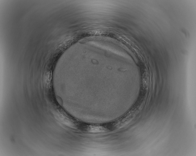 X0000110890605200907021518