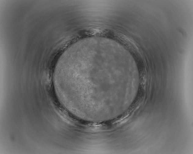 X0000110890607200907021518