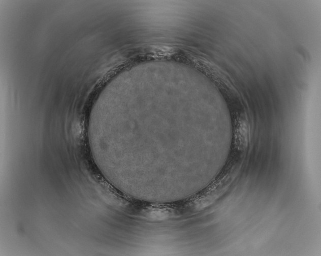 X0000110890608200907021518