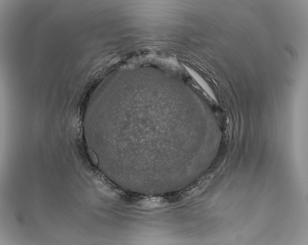 X0000110890609200907021518